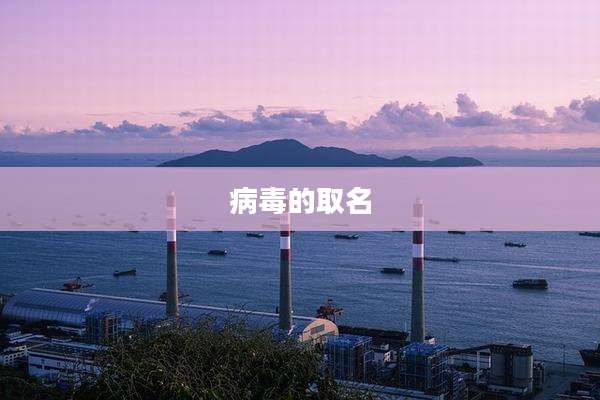 病毒的取名