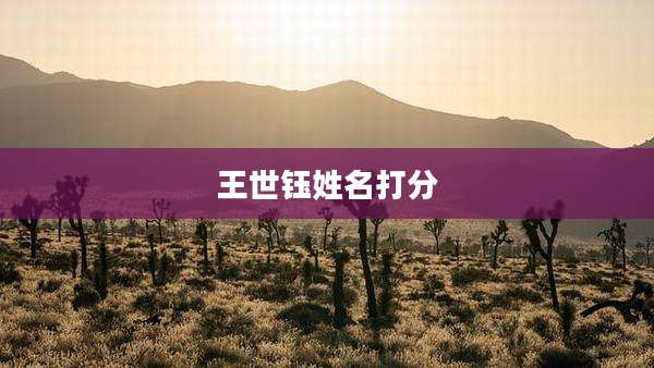 王世钰姓名打分