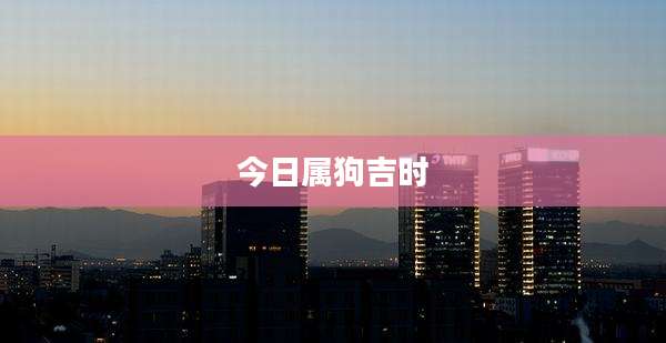 今日属狗吉时