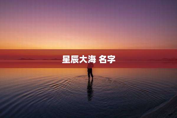 星辰大海 名字