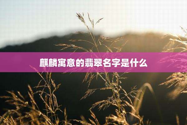 麒麟寓意的翡翠名字是什么