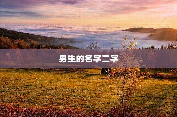 男生的名字二字