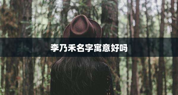 李乃禾名字寓意好吗