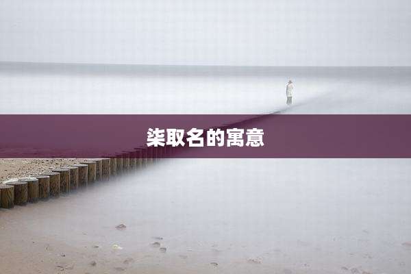 柒取名的寓意