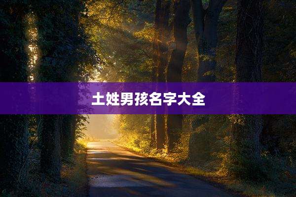 土姓男孩名字大全