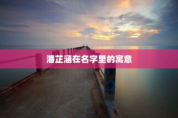 潘芷涵在名字里的寓意