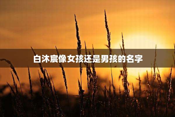 白沐宸像女孩还是男孩的名字