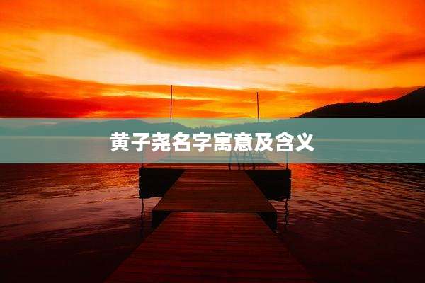 黄子尧名字寓意及含义