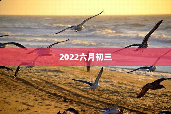 2022六月初三