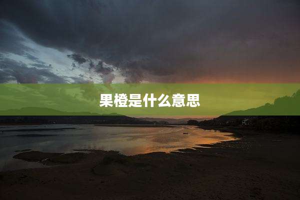 果橙是什么意思