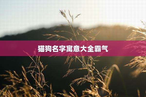 猫狗名字寓意大全霸气
