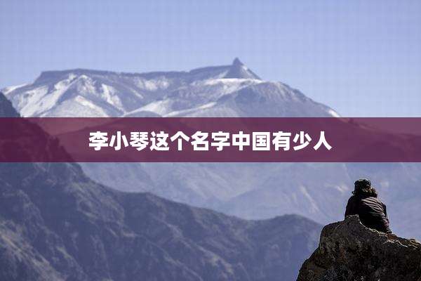 李小琴这个名字中国有少人