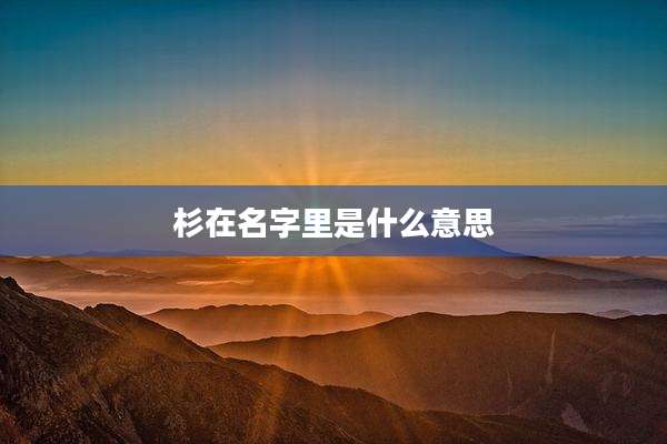 杉在名字里是什么意思