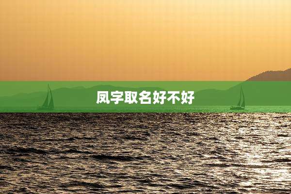 凤字取名好不好