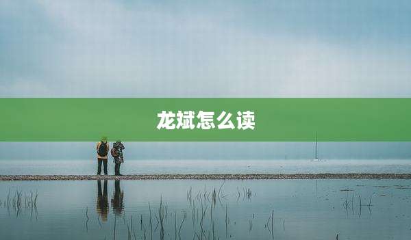 龙斌怎么读