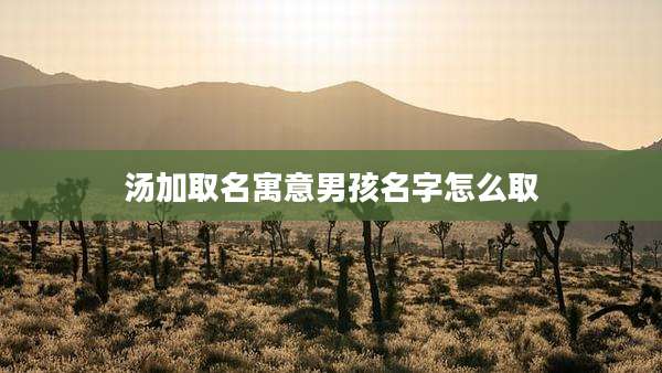 汤加取名寓意男孩名字怎么取