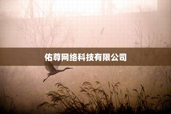佑尊网络科技有限公司