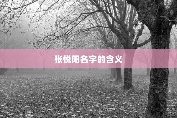 张悦阳名字的含义
