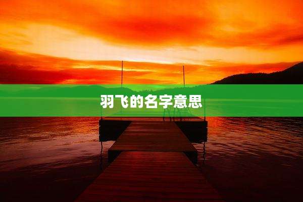 羽飞的名字意思