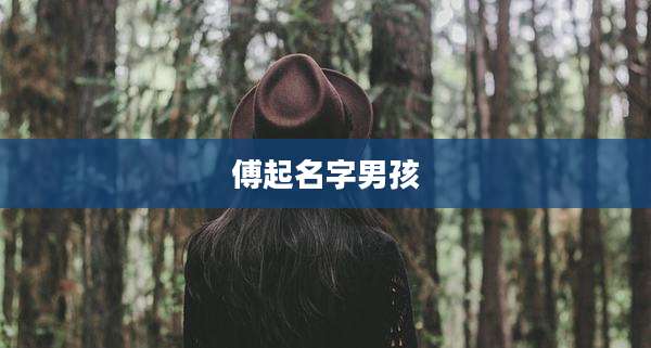 傅起名字男孩