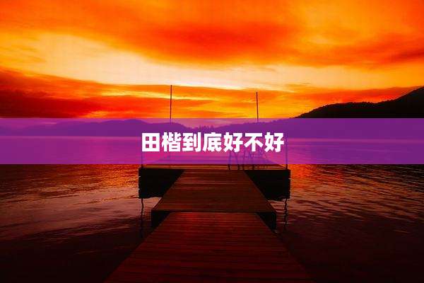 田楷到底好不好