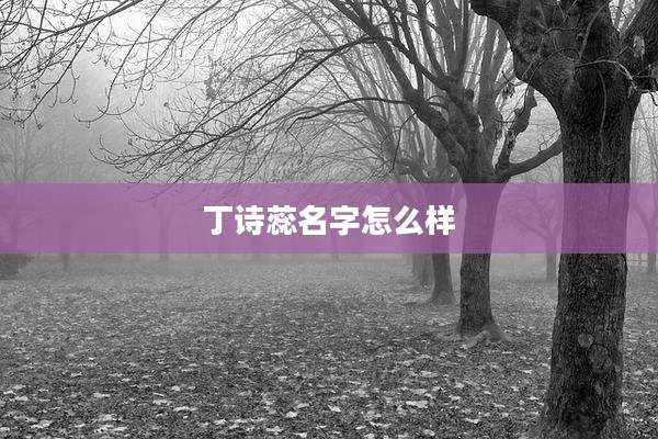 丁诗蕊名字怎么样