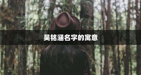 吴铭涵名字的寓意