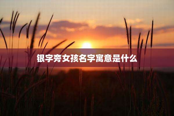 银字旁女孩名字寓意是什么
