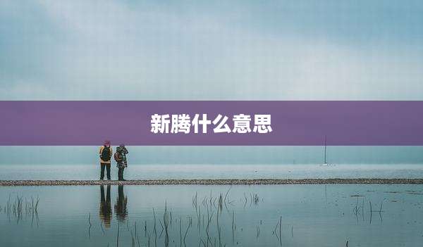 新腾什么意思