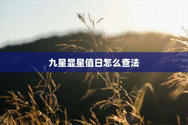 九星显星值日怎么查法