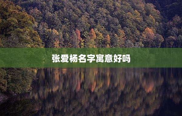 张爱杨名字寓意好吗