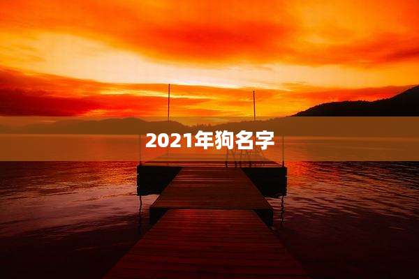 2021年狗名字