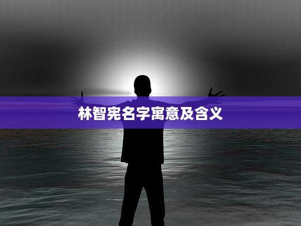 林智宪名字寓意及含义