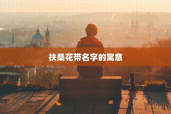 扶桑花带名字的寓意