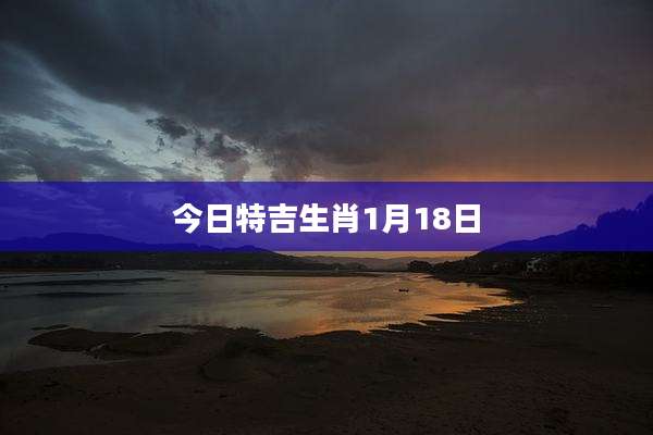 今日特吉生肖1月18日