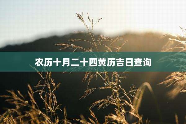 农历十月二十四黄历吉日查询