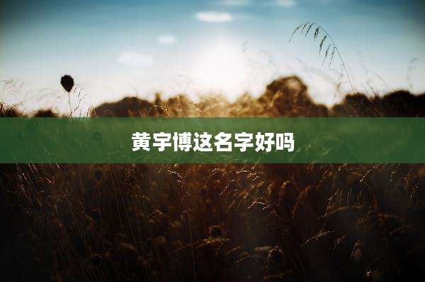 黄宇博这名字好吗