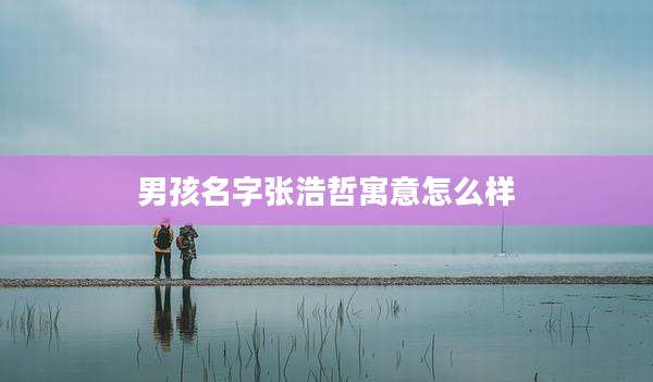 男孩名字张浩哲寓意怎么样