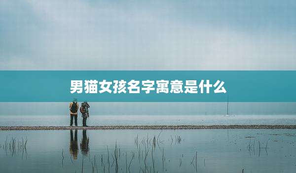 男猫女孩名字寓意是什么