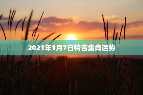 2021年1月7日特吉生肖运势