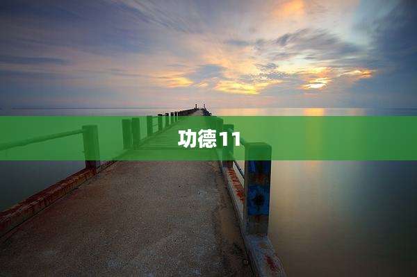 功德11