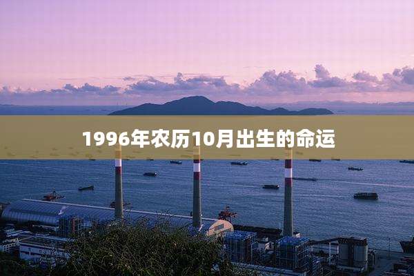 1996年农历10月出生的命运