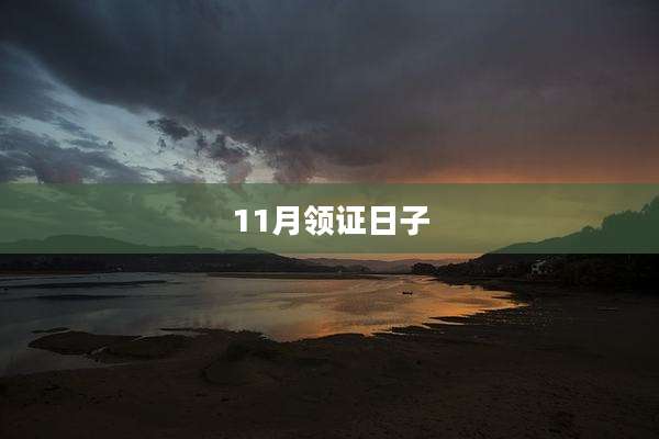 11月领证日子