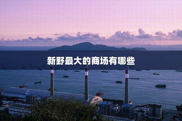 新野最大的商场有哪些