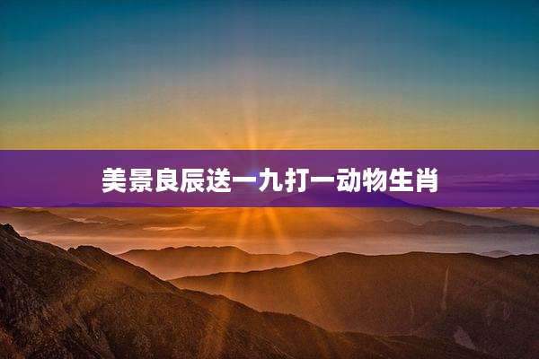 美景良辰送一九打一动物生肖