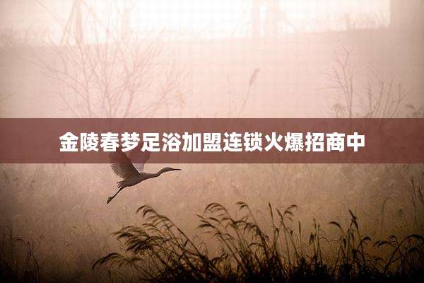 金陵春梦足浴加盟连锁火爆招商中