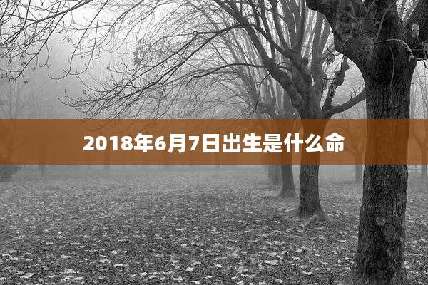 2018年6月7日出生是什么命