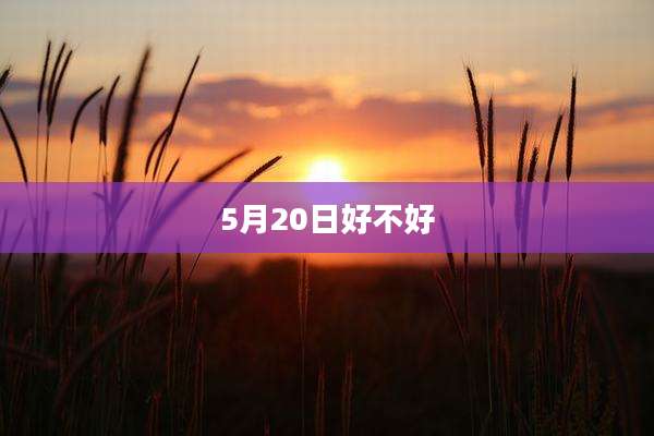5月20日好不好