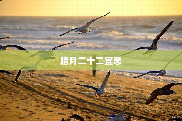 腊月二十二宜忌