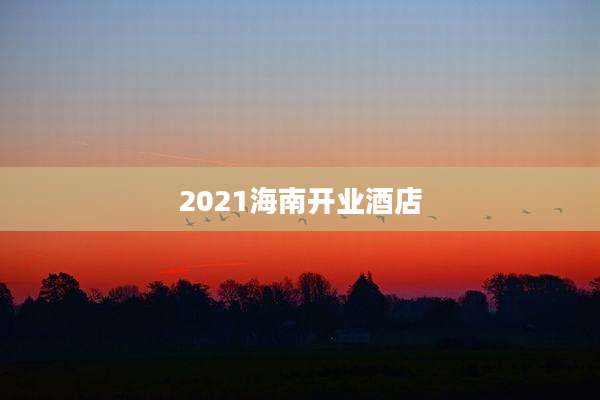 2021海南开业酒店